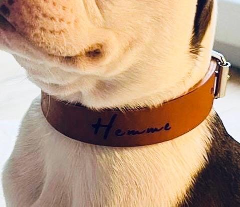 Schlicht & Elegant - robustes Hundehalsband - echtes Sattlerleder - 100% Rindsleder - Handgemacht - Mein Schusterhof
